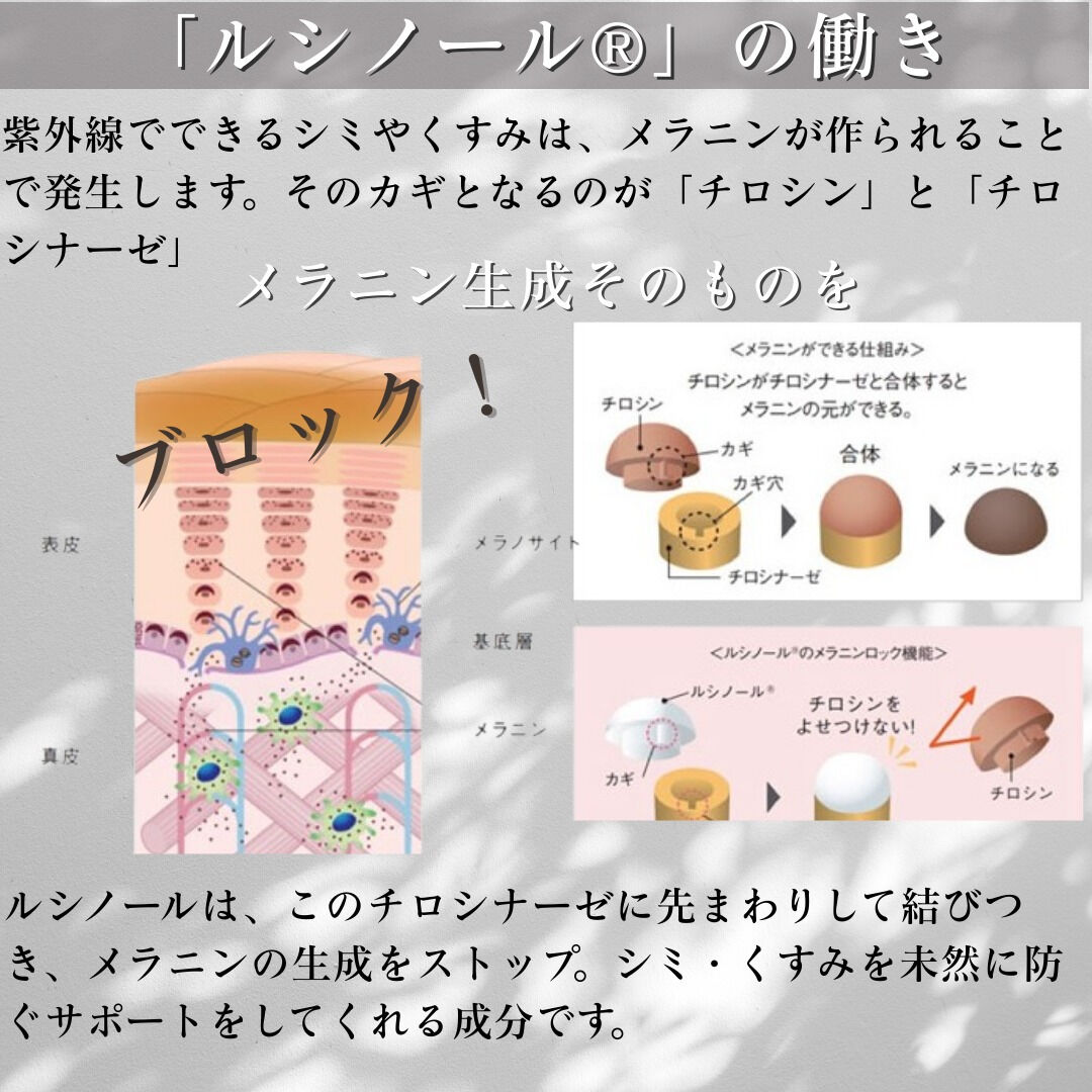 🌿 「まだ出会っていない“本当の透明感”を、あなたに