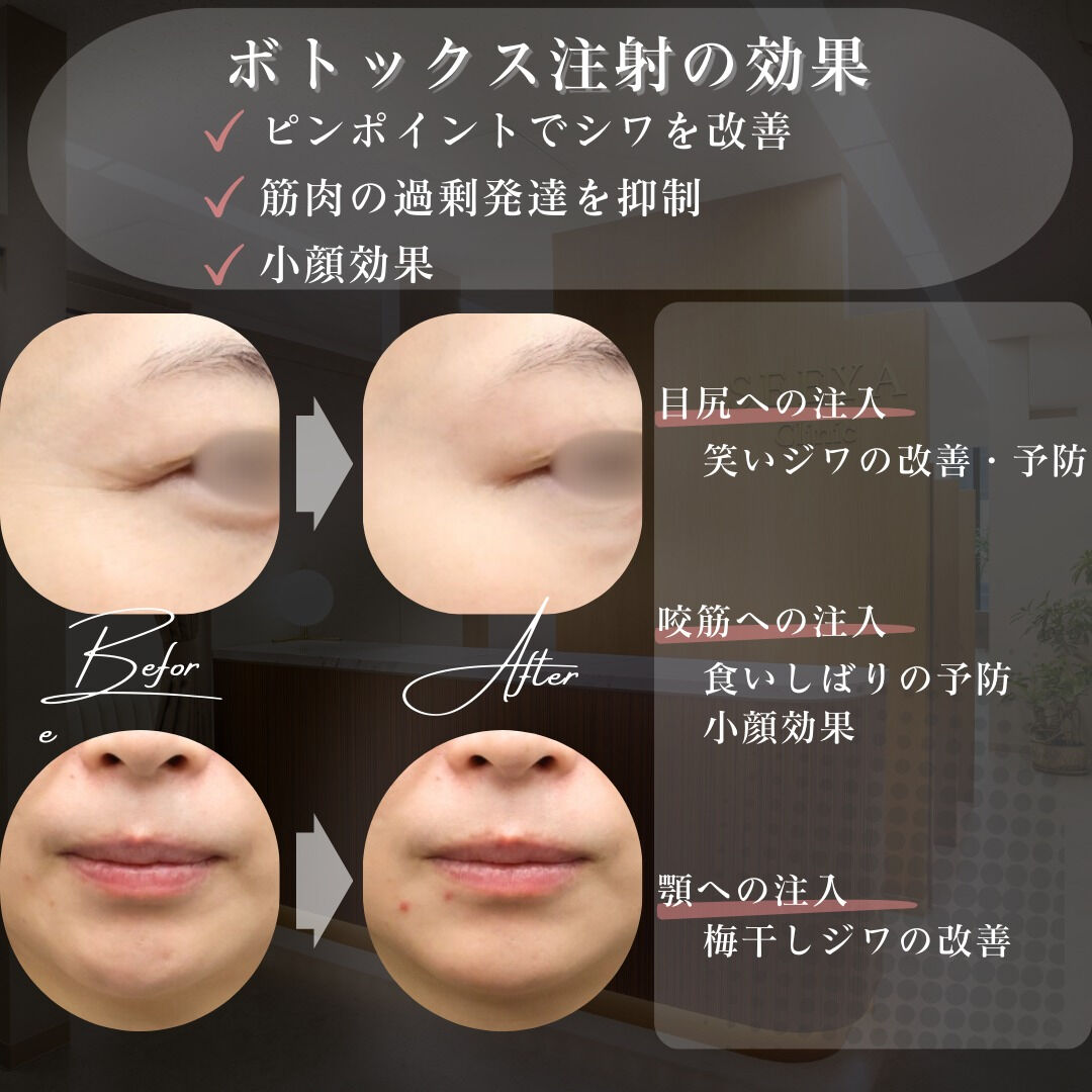 凛とした輪郭が、品格を宿す