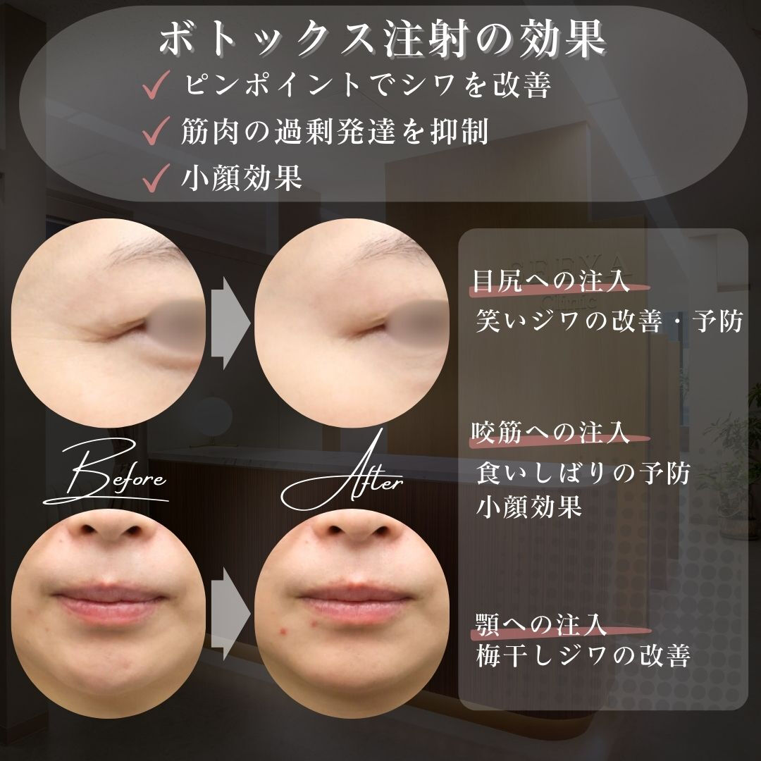 凛とした輪郭が、品格を宿す